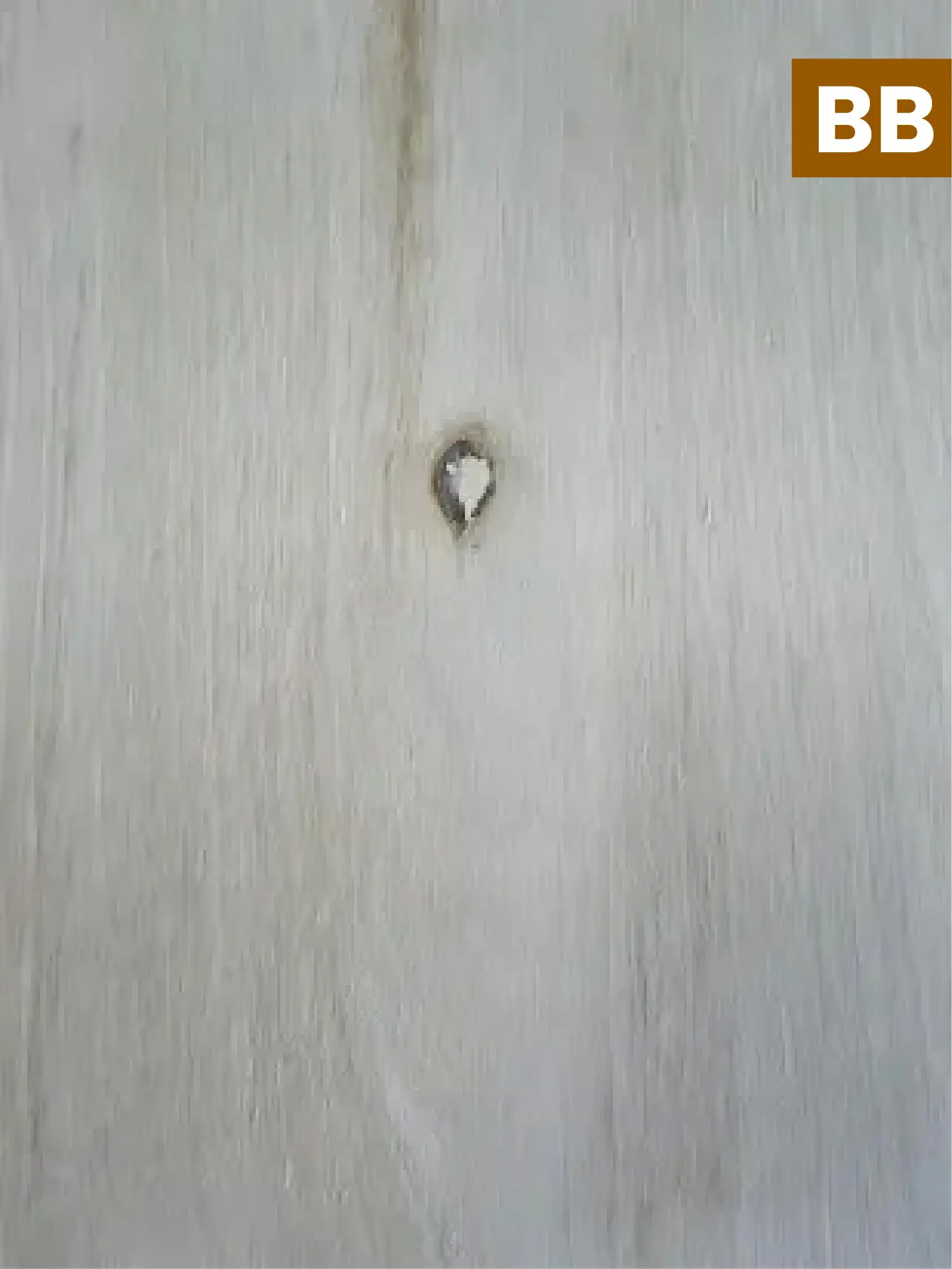 flooring Plywood