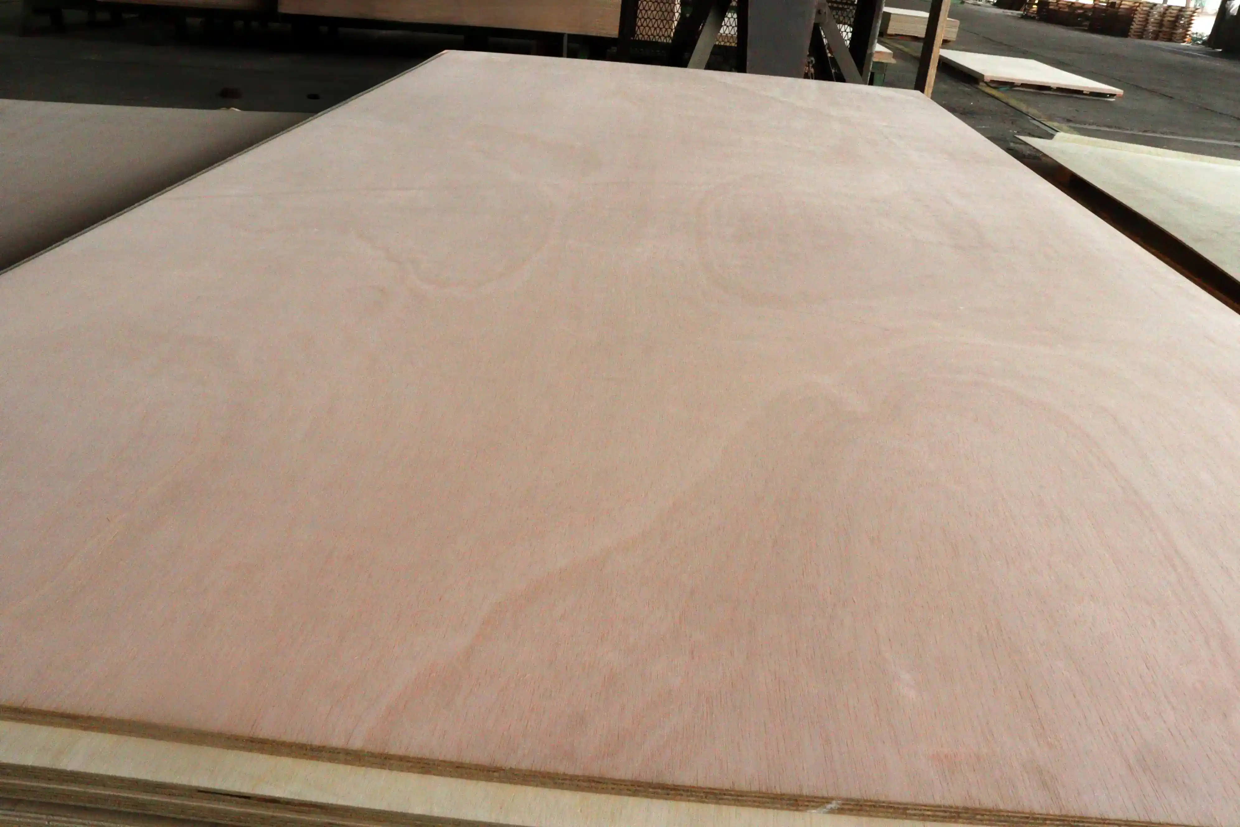 Rubia Plywood